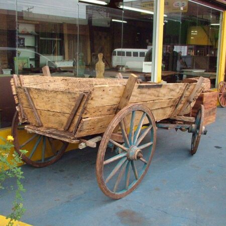 CARROÇA (35)